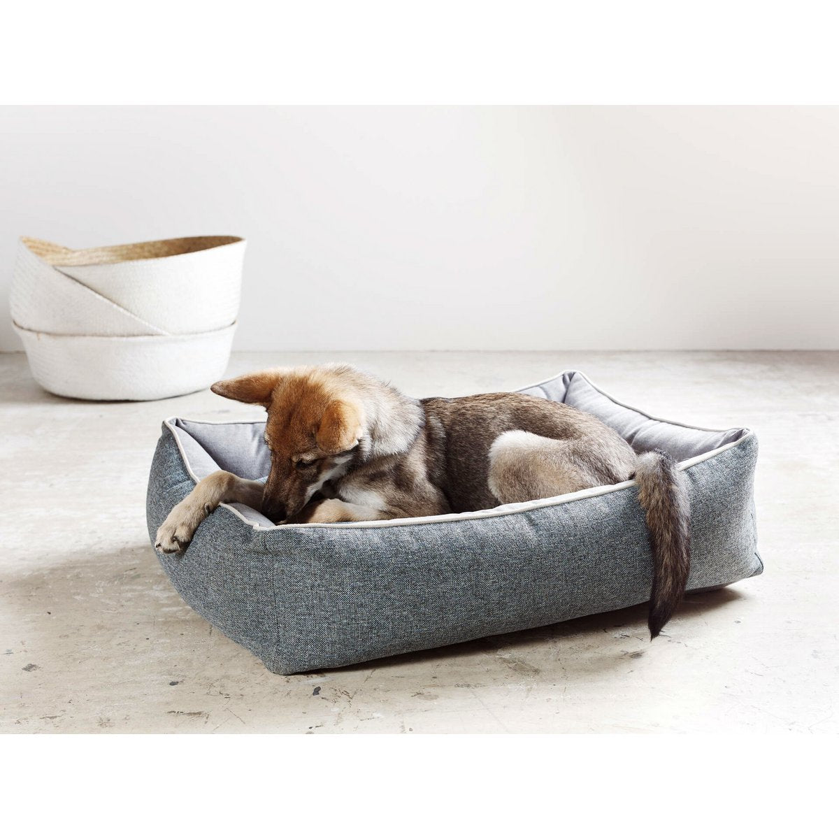 4251103309859 - SCALA ORTHO Hundebett