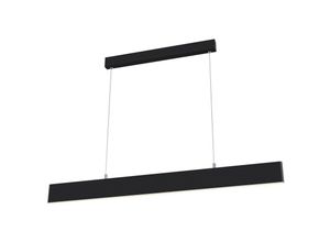 4251110094021 - Step LED Pendelleuchte schwarz Metall 30W Up&Down 118 cm Länge