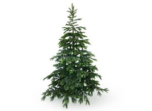 4251131205598 - Künstlicher Weihnachtsbaum 180 cm BonTree Fichte