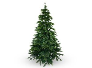 4251131205628 - Tannenbaum 180 cm BonTree Weihnachtsbaum