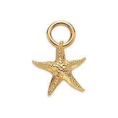 4251158784205 - Starfish Charm aus vergoldetem Ocean Steel