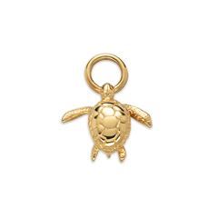 4251158784236 - Charm Turtle aus Ocean Steel vergoldet