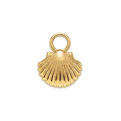 4251158784298 - Charm Anhänger Scallop Shell aus Ocean Steel vergoldet