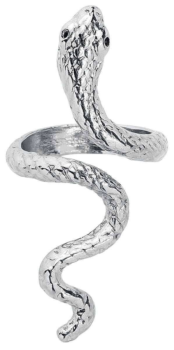 4251189271743 - etNox Snake Ring silberfarben