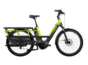 4251238546464 - Quadriga Cargoline 11G - 625 Wh - 2022 - 26 Zoll