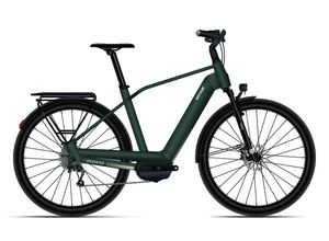 4251238565014 - Quadriga Town & Country CX10 L - 275 Zoll 750Wh 10K Diamant - Classic Green Shiny Classic Beige