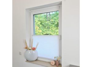 4251259482437 - Hago - Premium Klemmfix-Plissee ohne bohren Faltrollo Rollo Jalousie für Fenster Tür Weiß 45 cm 100 cm - Weiß