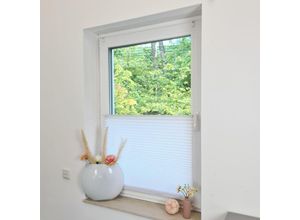 4251259482468 - Hago - Premium Klemmfix-Plissee ohne bohren Faltrollo Rollo Jalousie für Fenster Tür Weiß 50 cm 100 cm - Weiß