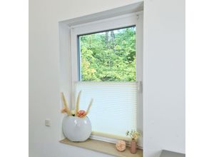 4251259482772 - Hago - Premium Klemmfix-Plissee ohne bohren Faltrollo Rollo Jalousie für Fenster Tür Creme 45 cm 150 cm - Creme