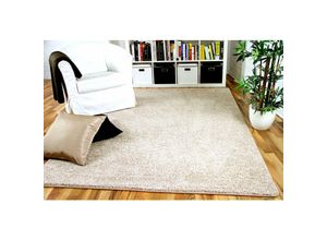 4251314608598 - Hochflor Velours Teppich Mona Natur - 80x200 cm