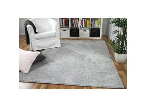 4251314637307 - - Hochflor Velours Teppich Mona Silbergrau - 80x240 cm