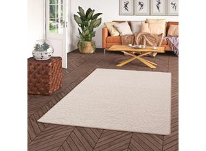 4251314650863 - - Konturenschnitt Hochflor Langflor Teppich Frieda Beige - 80x160 cm