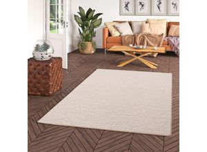 4251314650894 - Konturenschnitt Hochflor Langflor Teppich Frieda Beige - 80x320 cm