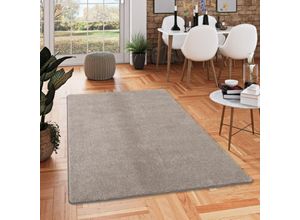 4251314668721 - Hochflor Luxus Velours Teppich Touch Taupe - 160x240 cm