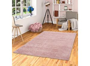 4251314680907 - - Hochflor Langflor Shaggy Teppich Aloha Altrosa - 120x170 cm