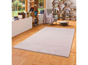 4251314691064 - - Hochflor Shaggy Teppich Palace Pastell Rosa - 80x160 cm