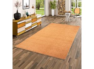 4251314691972 - - Hochflor Velours Teppich Luna Terrakotta - 80x320 cm