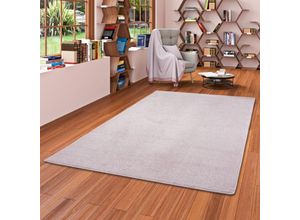 4251314693075 - - Luxus Soft Velours Teppich Shine Rosa - 200x250 cm