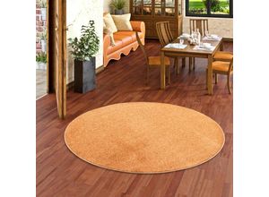 4251314693198 - - Hochflor Velours Teppich Luna Terrakotta Rund - 200 cm Rund