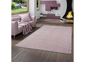 4251314693990 - - Hochflor Velours Teppich Luna Mix Altrosa - 80x160 cm