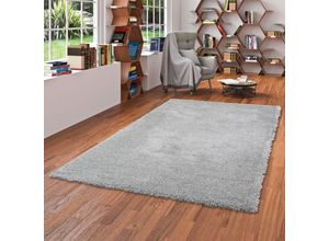 4251314696052 - - Luxus Hochflor Shaggy Teppich Dream Grau - 200x300 cm