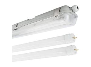4251351805356 - Led Feuchtraum Wannenleuchte Mason in Transparent und Grau 2x 22W 4400lm G13 2-flammig IP65 - Transparent - Click-lichtde