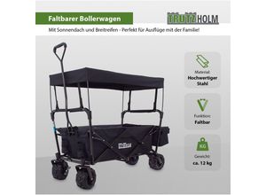 4251379453973 - Baumarktplus - Bollerwagen faltbar mit Sonnendach Breitreifen Schwarz innen grau Falt-Bollerwagen