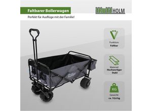 4251379453980 - Baumarktplus - Bollerwagen faltbar Breitreifen Grau innen schwarz Falt-Bollerwagen