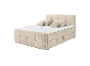 4251561920481 - riess-ambiente Boxspringbett TOULOUSE 160x200cm beige inkl Matratze und Topper mit Bettkasten