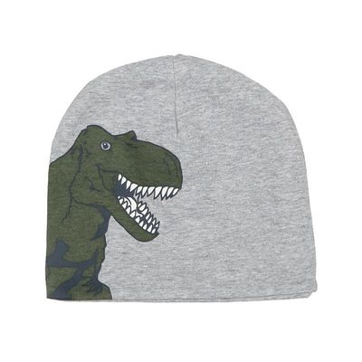 4251575408401 - zoolaboo - Jersey-Beanie T-REX in grau melange Gr47