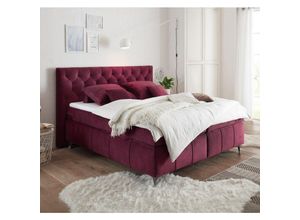 4251581593351 - Lomadox - Boxspringbett 180x200 cm PETARE-09 in der modernen Farbe Burgund und Härtegrad H2