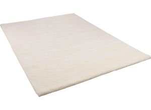 4251619637033 - Wollteppich THEKO Maloronga Uni Teppiche Gr B L 60 cm x 90 cm 24 mm 1 St beige (natur weiß) Schurwollteppiche echter Berber Teppich reine Wolle handgeknüpft