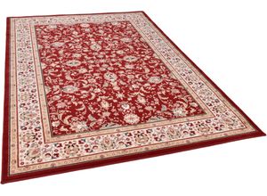 4251619667955 - Wollteppich THEKO Dolna - 808 Teppiche Gr B L 80 cm x 250 cm 10 mm 1 St rot Orientalische Muster Kurzflor reine Wolle Orient-Optik