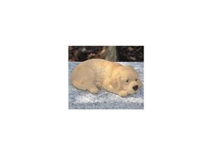4251639200194 - Dazikemo Dekofigur Gartenfigur Golden Retriever