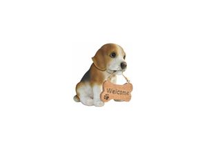 4251639210209 - Dazikemo Gartenfigur Dekofigur Hund Beagle Willkommen