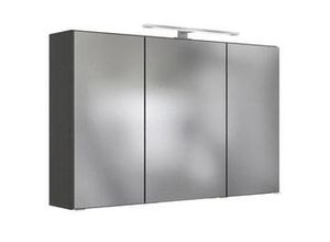 4251639410029 - Spiegelschrank in Grau mit LED Arezzo