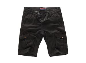 4251654415139 - Shorts Cargo Shorts Regular Fit