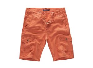 4251654415634 - Shorts Cargo Shorts Regular Fit