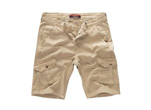 4251654416037 - Shorts Cargo Shorts Regular Fit