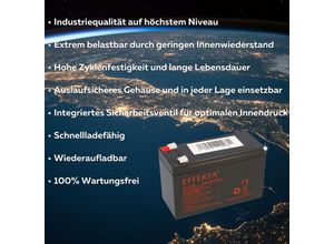 4251677340890 - Verschiedene - 24V 2x 12V 95Ah ESC300 Scooter Elektroroller Blei Akku agm