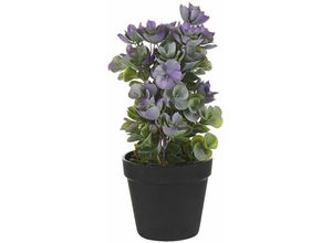 4251682268677 - Beliani - Kunstpflanze Grün Violett mit Schwarzem Blumentopf aus Kunststoff 31 cm Sukkulente Form Dekoration Wohnzimmer Indoor Modern