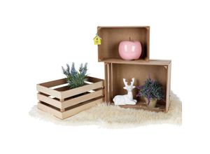 4251699804042 - Buri - Dekokisten-Set 3-teilig Holzkisten Holzbox Obstkisten Beistelltisch Aufbewahrung