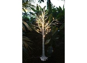 4251699809849 - LED Lichterbaum Birkenstamm 150cm Dekobaum Gartendeko Weihnachtsdeko warmweiß