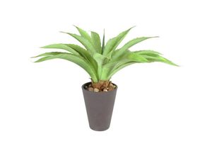 4251699831628 - Buri - Künstliche Aloe Vera im Kunststofftopf 23cm Kunstpflanze Zimmerpflanze