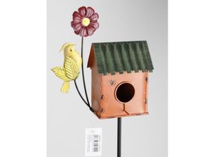 4251699854900 - Buri - Vogelhaus Dekoration Häuschen Gartenstecker Erdspieß Figur Rasen Außen Boden