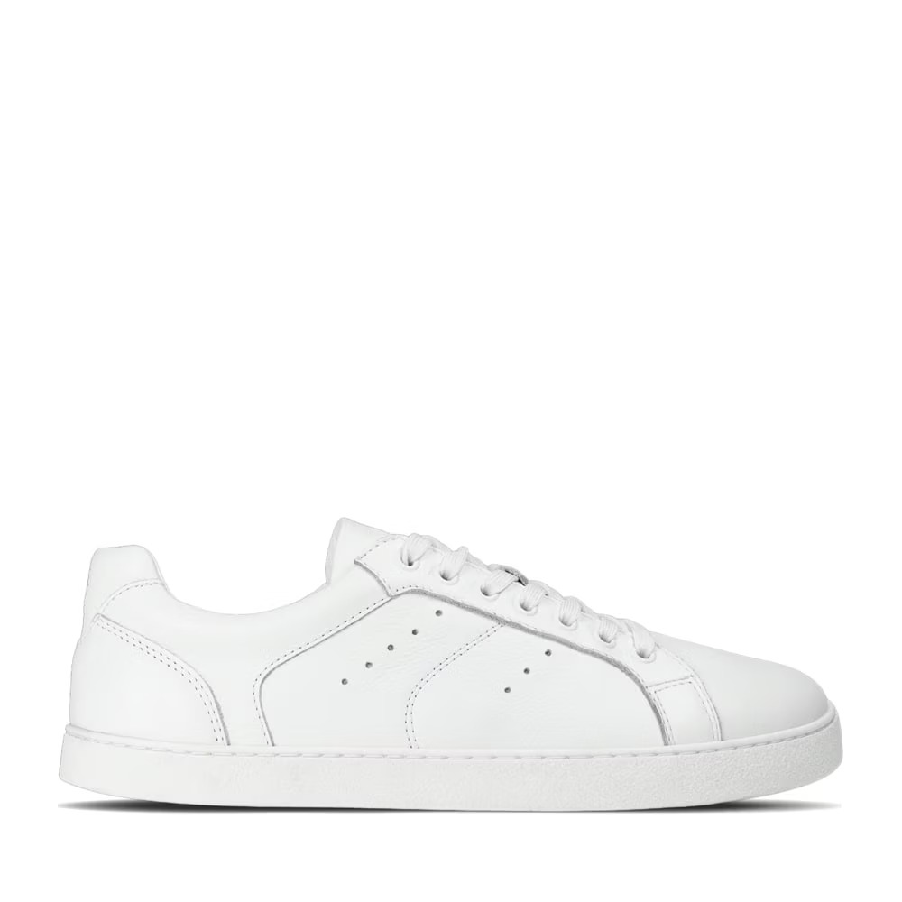 4251723783893 - Sneakers Universe