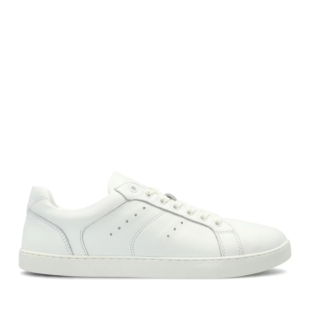 4251723784074 - Sneakers Universe Regular 4251723784074 - Sneakers Universe Regular