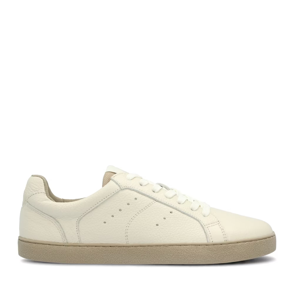 4251723798583 - Sneakers Universe