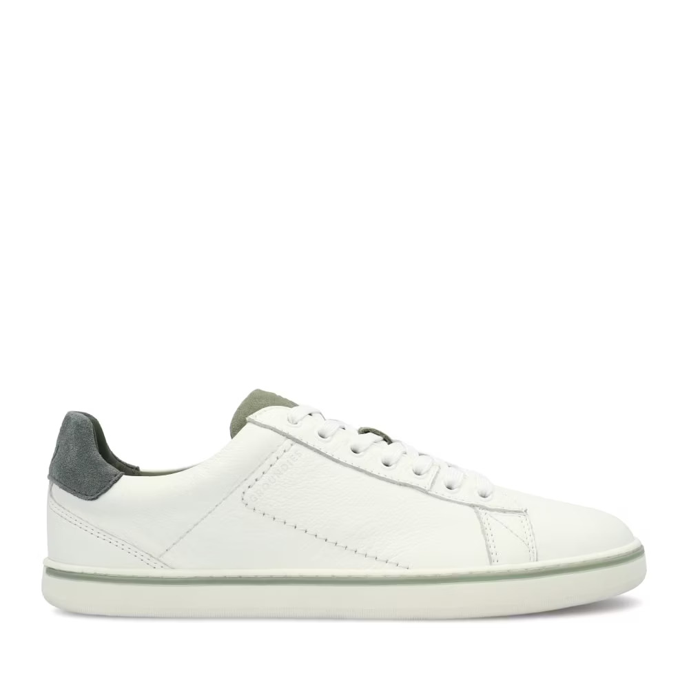 4251723798897 - Sneakers Galaxy