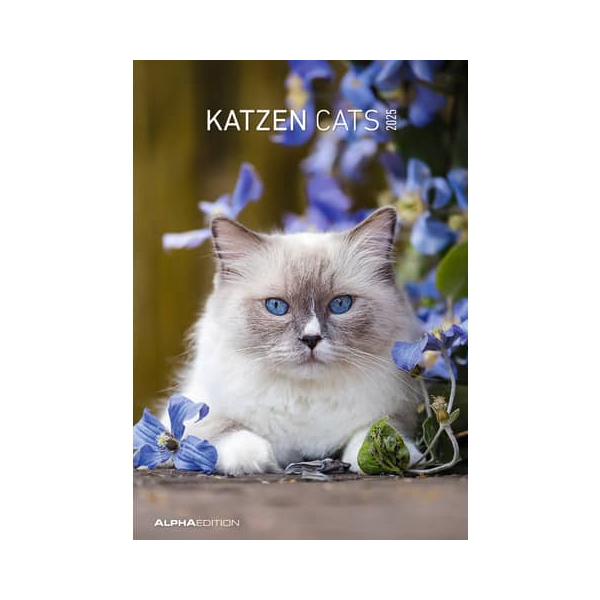 4251732328245 - Bildkalender 101039 Motive Katzen 1Monat 1Seite 24x34